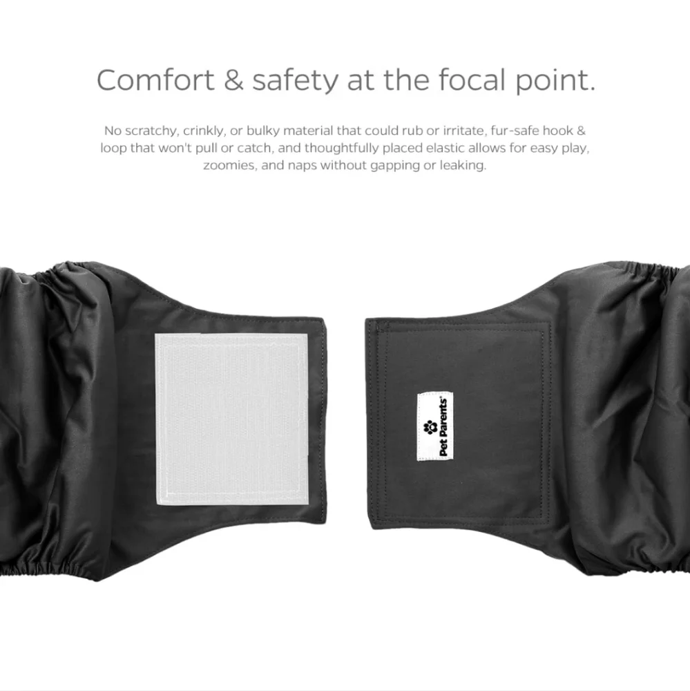 Pet Parents Belly Bands Black Med